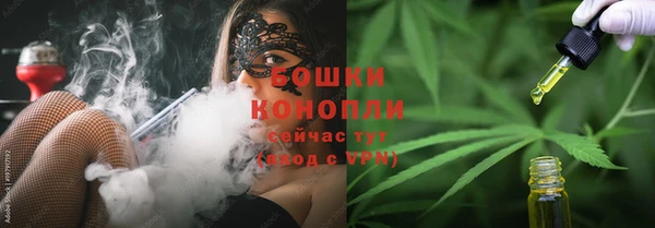 сатива Армянск