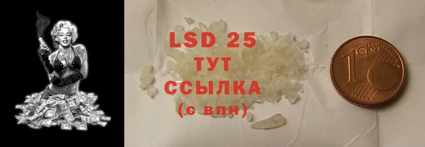 ГАЛЛЮЦИНОГЕННЫЕ ГРИБЫ Алзамай