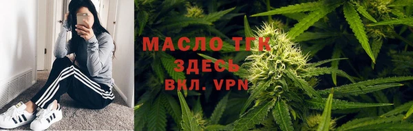 сатива Армянск