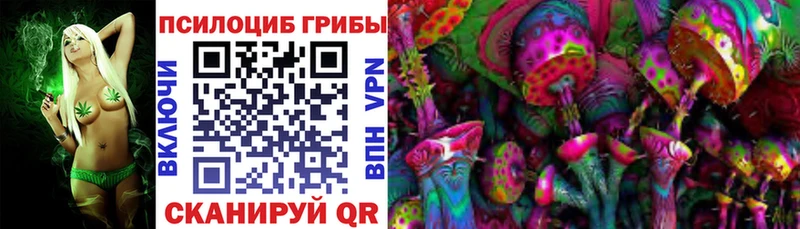 Псилоцибиновые грибы Psilocybe купить наркотик Разумное
